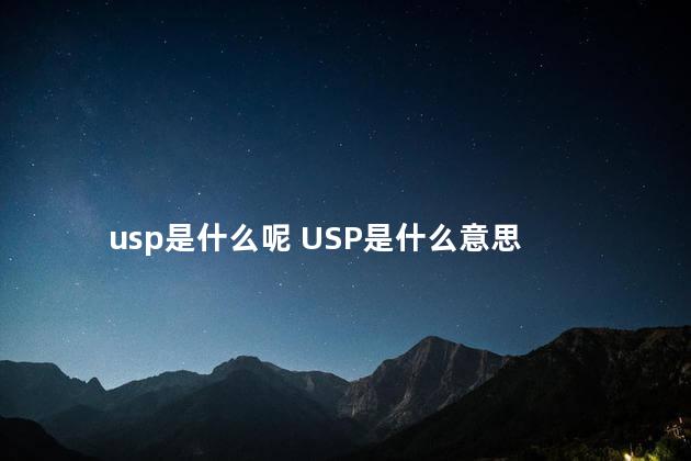 usp是什么呢 USP是什么意思